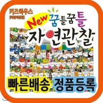 [전집] 뉴꿈틀꿈틀자연관찰 : 음원 필름 향기까지 입힌 놀라운 자연의 세계가 생생하게 담긴 전집, 톨스토이(전집)