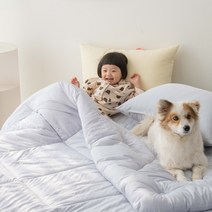 강아지 고양이 털안붙는이불 정전기없는 알러지케어 사계절 이불
