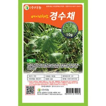 브랜드없음 베이비(샐러드)경수채 씨앗10g[QS], 단품없음