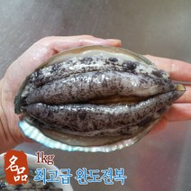 초록사랑 완도 활 전복 완도전복 산소포장, 7미 1kg (7마리)