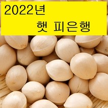 청한농장 피은행2kg 재래종 22년 햇은행, 2kg