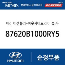 미러 어셈블리-아웃사이드 리어 뷰 우측 (87620B1000RY5) 제네시스 G80