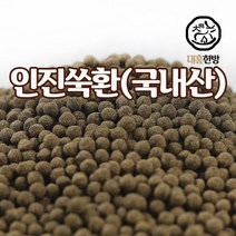 대흥한방 인진쑥환 150g 국내산, 1개