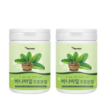 식후관리 허브식물 식이섬유 바나바잎 분말 바나나잎 50대 60대 건강밸런스 2개x100g