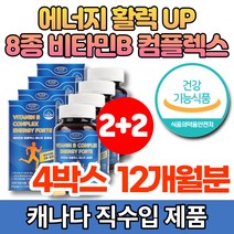 캐나다 코스트코 고함량 수용성 비타민 B 콤플렉스 B1 B2 B6 B12 비군 B군 판톤텐산 엽산 나이아신 비오틴 에너지 활력 영양제, 90캡슐, 4병