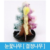 과학 눈꽃실험 요소나무 실험키트 초등학교과학 실링, 1인