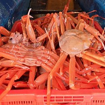 프리미엄 울진 박달홍게 /육수용 3마리 추가 증정 2kg 3kg, (특대) : 3~4마리 총 2kg