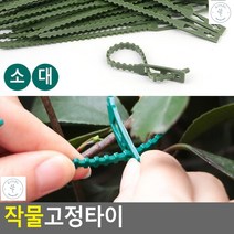 작물고정타이 호박오이 누워자람방지 작물고정끈 가든타이, 소