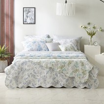 까사메르 [특대형]까사메르 고주파 스프레드 3종