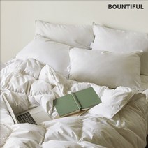 바운티풀 특급호텔 구스페더 베개솜 1200g, 화이트, 1개