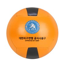 니스포 피안 KDBF 피구공 닷지볼 공인구 초등용 중고일반용, 초등학생용