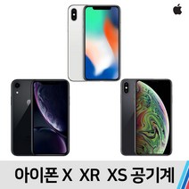 아이폰 아이폰X 아이폰XR 아이폰XS, B급 무관(빠른출고), 아이폰XS (256기가)