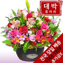 대박플라워 충분히예뻐 꽃바구니 생일선물 기념일 출산꽃선물 병문안 꽃배달