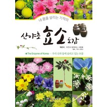 산야초 효소 도감:, 윤미디어