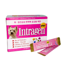 강아지 설사 고양이 인트라젠 구토 유산균