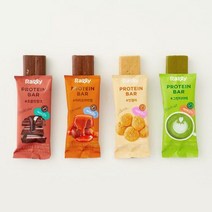 윙잇 랠리 프로틴바 58g 4종, 랠리 프로틴바 초콜릿청크맛