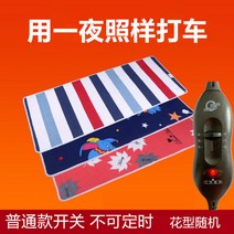 비가토 자동차용 전기담요 당일 더블 12볼트 24볼트 전기 매트리스 구매전 판매자 비가토 확인요망합니다. 영어로된 판매자 중국업체입니다., 24V-Normal 길이 180cm x 폭 60cm
