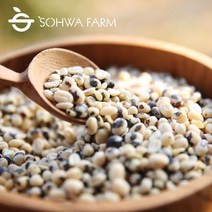 소화농장 2022년 국산 깐 검은팥 1kg 깐 거두 고물용팥, 1개