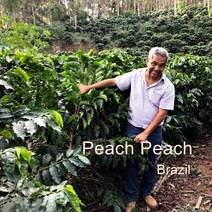 [위트러스트] 브라질 피치피치 500g Brazil Peach Peach/ 스페셜티 커피 원두, 에스프레소