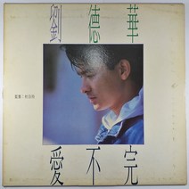 (중고LP) 유덕화 애불완 끝없는 사랑 1991년 발매 (자켓 음반 상태 A. 가사지 있음)