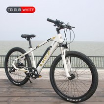 배달용 산악 AKEZ-전기 산악 자전거 16 인치 36V350W 속도 40 KM/H 9 단, 01 White, 한개옵션1