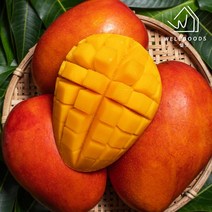 웰굿 [웰굿] 제주 산지직송 고당도 애플망고 3kg(5-6과특대과), 1