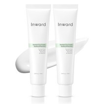 [시카성분 68%] 인워드 발효 시카 크림 진정 앤 리커버리 70ml, 2개