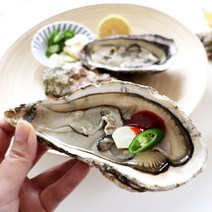 최상급 통영 제철 석굴 1kg 생굴 석화 삼배체 굴 짱, 단품