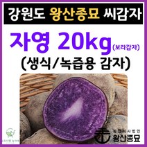 왕산종묘 자색 씨감자 [ 자영 20kg ] 생식용 감자 녹즙용 감자 보라색 감자 감자씨앗 햇감자 정품씨감자 대서 두백 홍영 자영 백작 왕산 수미 씨감자 강원도 씨감자, 자영 20kg ( 생식 / 녹즙용 감자 )