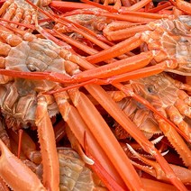 [포항직송] 구룡포 박달 연지 홍게 자숙 수율보장 특대 3kg 새로푸드, 연지홍게 육수용 비품 3kg (8~12미), 1개