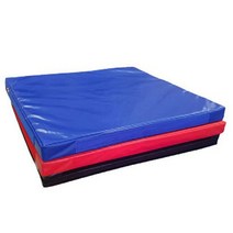 일프로- CME-1120 PE 유도매트 1m x2m 벨크로 부착 학교용품 체육관, 임의색상