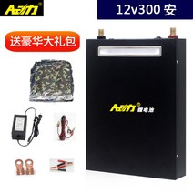 캠핑카 차박용 리튬 폴리머 인산철 대용량 12v 14v 배터리 차량용 파워 뱅크 휴대용, 12v300A