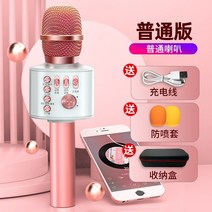 가정용노래방기계 가정용 노래방기계 이동식 반주기 국가 유물 와 함께 제공, 로즈골드 무선 블루투스 케이송 마이크 오디오 올인, 공식 표준