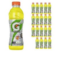 게토레이 오렌지 600ml X 20개 이온음료 스포츠음료 온동전후 수분섭취 갈증해소 게토레이 신제품 음료수, 40개