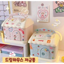 드림하우스 저금통, 하늘이