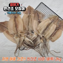 반건조오징어 피데기 반건 버터구이 오징어 피대기 10미, 반건조오징어 2kg(10미)