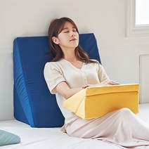 소프트 식스모션 삼각 쿠션 2size, 소프트 식스모션 미니쿠션 네이비