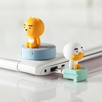 카카오프렌즈 캐릭터USB 32기가 메모리 이동식디스크 인증서저장 백업 졸업선물 PC사용 대용량 중요한서류, 무지