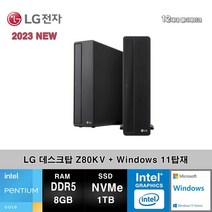 LG전자 데스크탑 12세대 펜티엄 컴퓨터 Z80KV-AR2PST+WIN11 (Pen-G7400/8GB/SSD1TB/UHD710/WIN11)