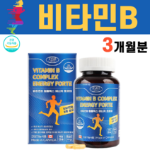 비타민B 비타민비 바이타민 비타민비군 수용성 임산부 수유부 비타민 B군 B1 B2 B6 B12 판토텐산 비오틴 나이아신 이노시톨 결정셀룰로스 엽산 캐나다 직수입