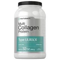 멀티 콜라겐 단백질 파우더 32oz | 유형 i ii iii v x | 가수분해 콜라겐 펩타이드 | 케토 앰프 고생물 친화적인 | 무향 앰프 글루텐 무료 | 호바흐에 의해