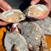 국내산 인천 급냉 프리미엄 알배기 100% 암꽃게 1kg 4-6미 산지직송 판매!/게장용으로 최고!/ 2022년 5월 초 작업 된 급냉 암꽃게!