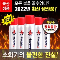 애니원119 차량용 스프레이 소화기 450g