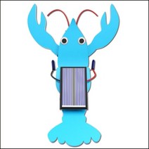 가재 태양광 진동로봇 (1인용)전기 자석 ph 과학실습 DIY 교육 과학 실험 과학실험키트 과학키트 교구