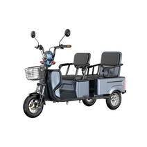 독일 전기 삼륜차 충전식 전동차 스쿠터 3륜 전동 소형 삼발이 바이크, 60V, J