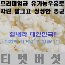 티벳버섯 케피어그레인, 1개, 이십그람20g(대용량)