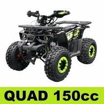 ATV150 / UTV / 사륜 오토바이 / 농업용 ATV/사발이, 150
