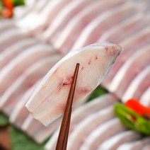 브랜드없음 [더테이블]신안 참병어 횟감용(중) 23cm내외, 단품없음