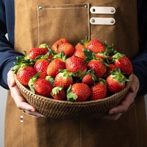 뉴질랜드딸기농장 싸게파는곳 검색결과