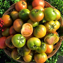 토마토20kg 판매점